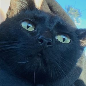 Meet your Posher, Justin